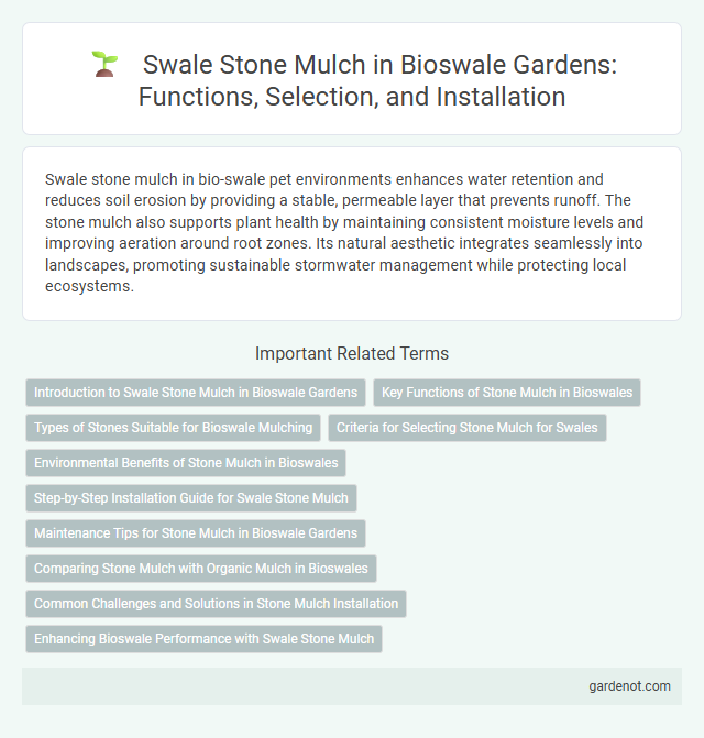 Swale Stone Mulch in Bioswale Gardens: Functions, Selection, and Installation