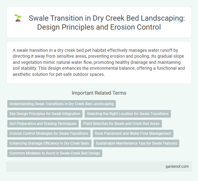 Swale Transition in Dry Creek Bed Landscaping: Design Principles and Erosion Control