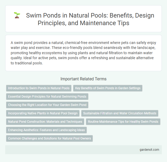 Swim Ponds in Natural Pools: Benefits, Design Principles, and Maintenance Tips