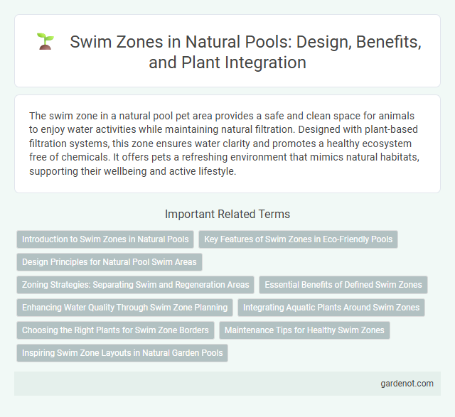 Swim Zones in Natural Pools: Design, Benefits, and Plant Integration