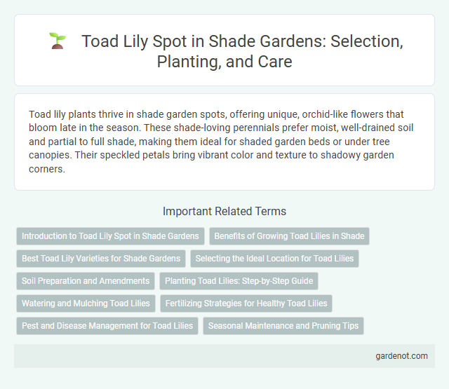 Toad Lily Spot in Shade Gardens: Selection, Planting, and Care