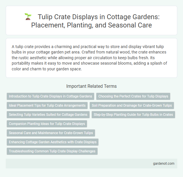 Tulip Crate Displays in Cottage Gardens: Placement, Planting, and Seasonal Care