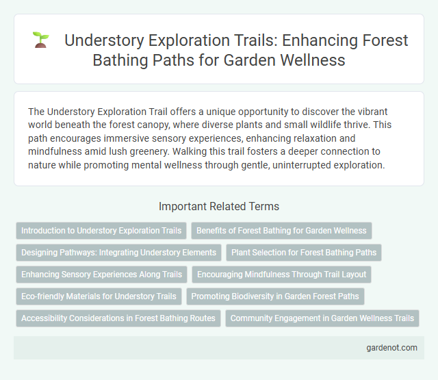 Understory Exploration Trails: Enhancing Forest Bathing Paths for Garden Wellness