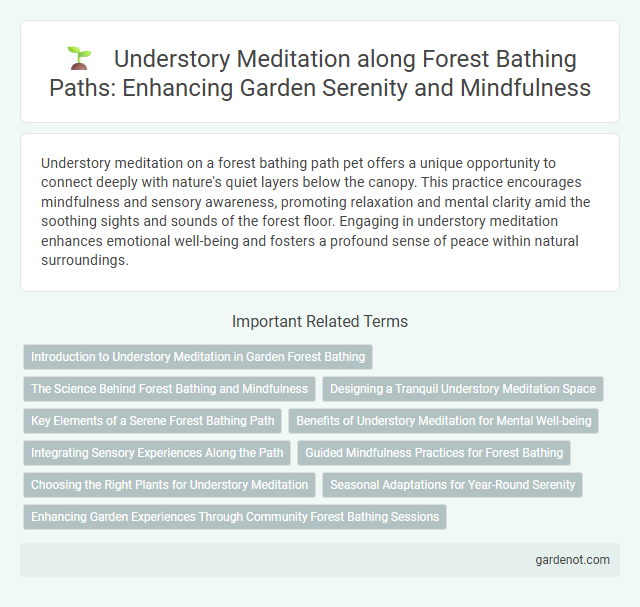 Understory Meditation along Forest Bathing Paths: Enhancing Garden Serenity and Mindfulness