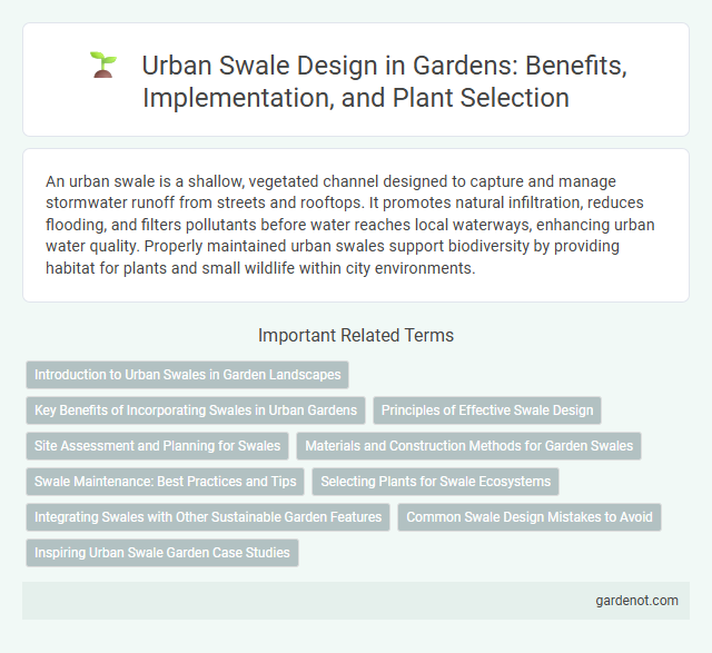 Urban Swale Design in Gardens: Benefits, Implementation, and Plant Selection