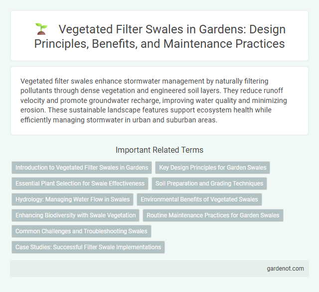 Vegetated Filter Swales in Gardens: Design Principles, Benefits, and Maintenance Practices
