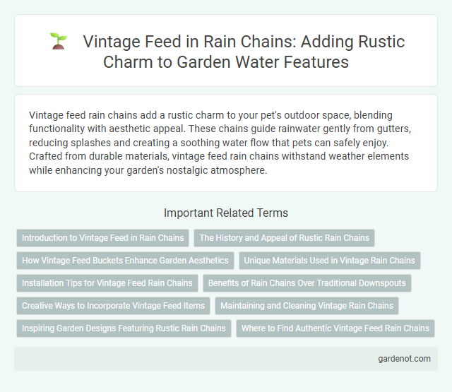 Vintage Feed in Rain Chains: Adding Rustic Charm to Garden Water Features
