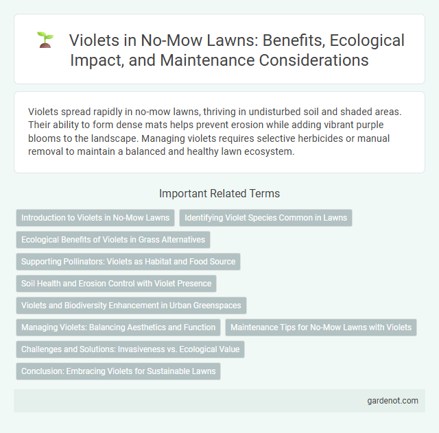 Violets in No-Mow Lawns: Benefits, Ecological Impact, and Maintenance Considerations