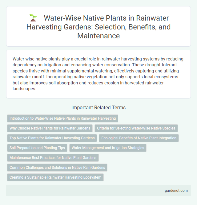 Water-Wise Native Plants in Rainwater Harvesting Gardens: Selection, Benefits, and Maintenance