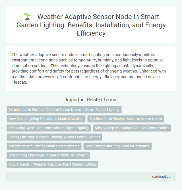 Weather-Adaptive Sensor Node in Smart Garden Lighting: Benefits, Installation, and Energy Efficiency