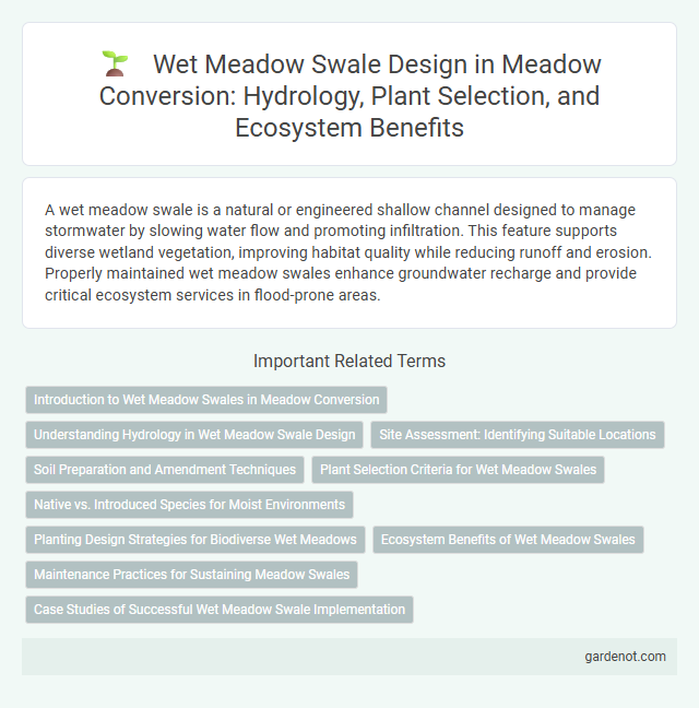 Wet Meadow Swale Design in Meadow Conversion: Hydrology, Plant Selection, and Ecosystem Benefits