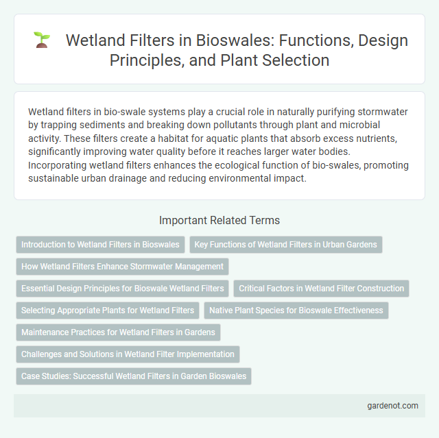 Wetland Filters in Bioswales: Functions, Design Principles, and Plant Selection