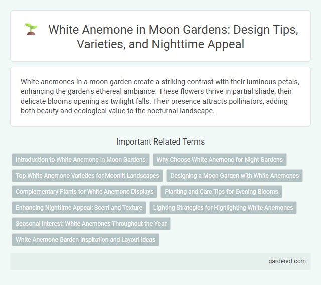 White Anemone in Moon Gardens: Design Tips, Varieties, and Nighttime Appeal