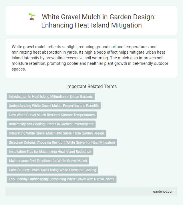 White Gravel Mulch in Garden Design: Enhancing Heat Island Mitigation