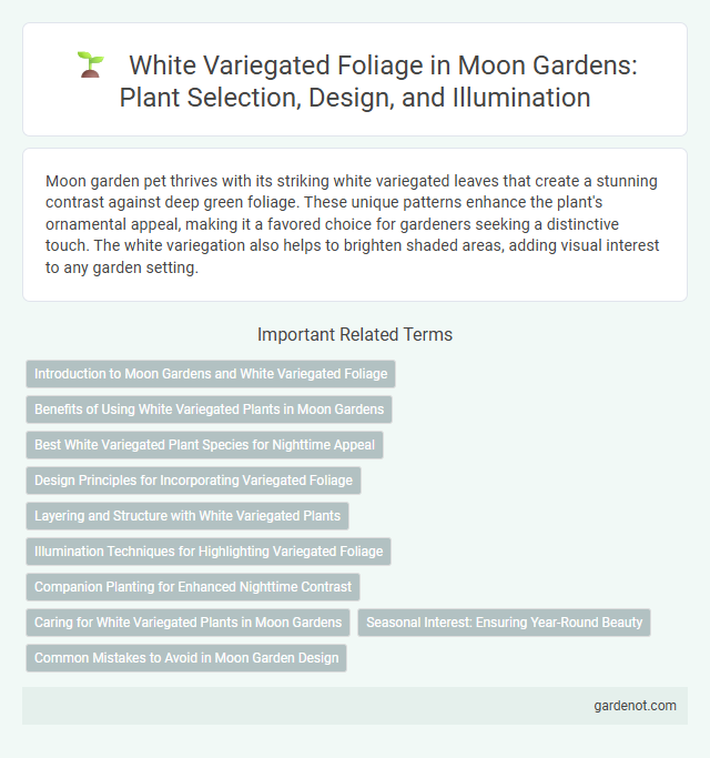 White Variegated Foliage in Moon Gardens: Plant Selection, Design, and Illumination