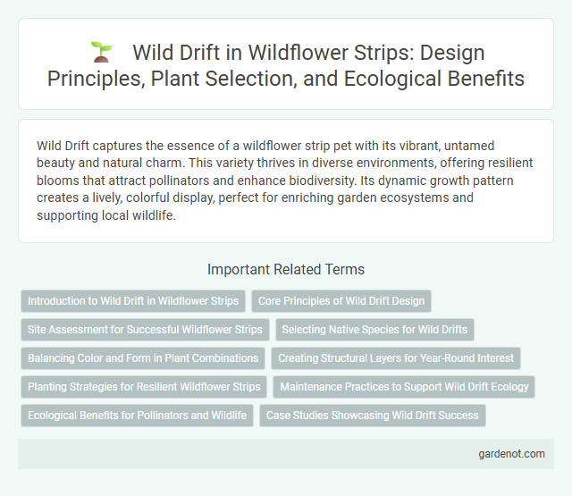 Wild Drift in Wildflower Strips: Design Principles, Plant Selection, and Ecological Benefits