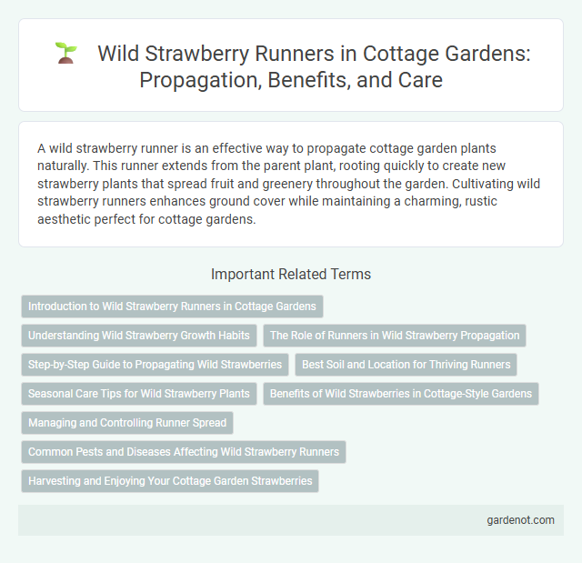 Wild Strawberry Runners in Cottage Gardens: Propagation, Benefits, and Care
