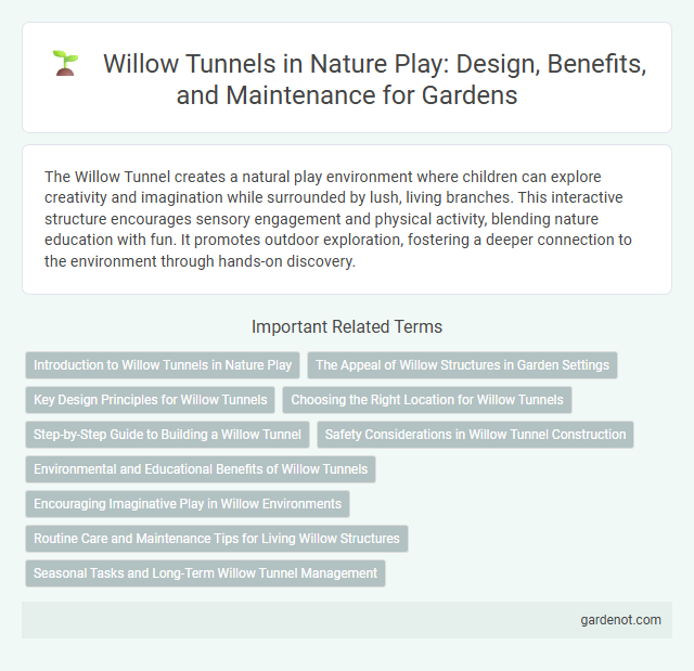 Willow Tunnels in Nature Play: Design, Benefits, and Maintenance for Gardens