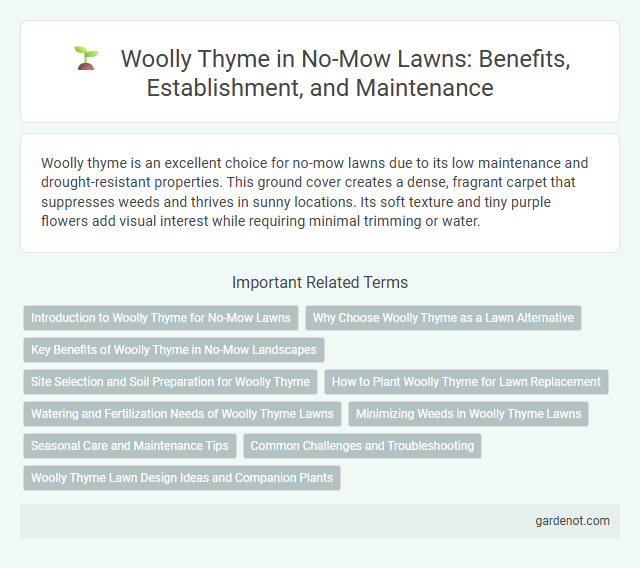 Woolly Thyme in No-Mow Lawns: Benefits, Establishment, and Maintenance