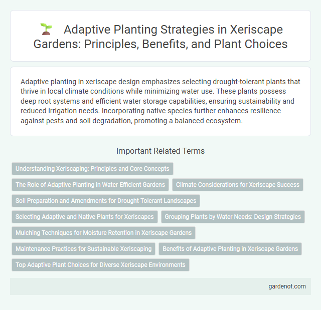 Adaptive Planting Strategies in Xeriscape Gardens: Principles, Benefits, and Plant Choices