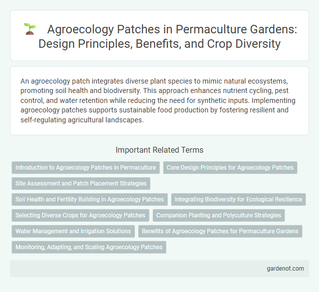 Agroecology Patches in Permaculture Gardens: Design Principles, Benefits, and Crop Diversity