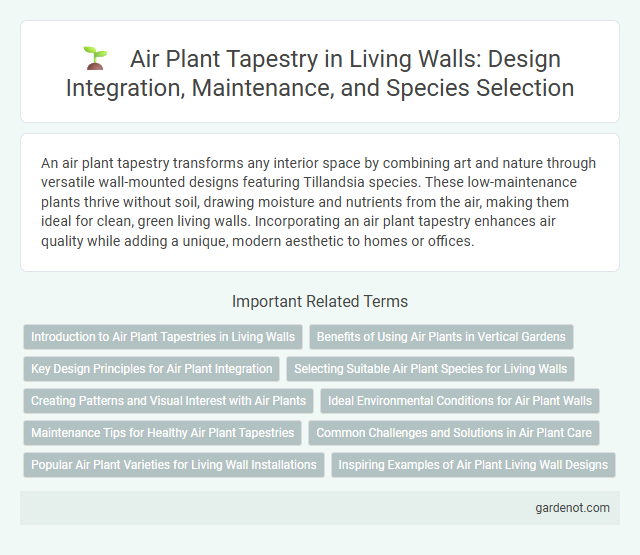 Air Plant Tapestry in Living Walls: Design Integration, Maintenance, and Species Selection