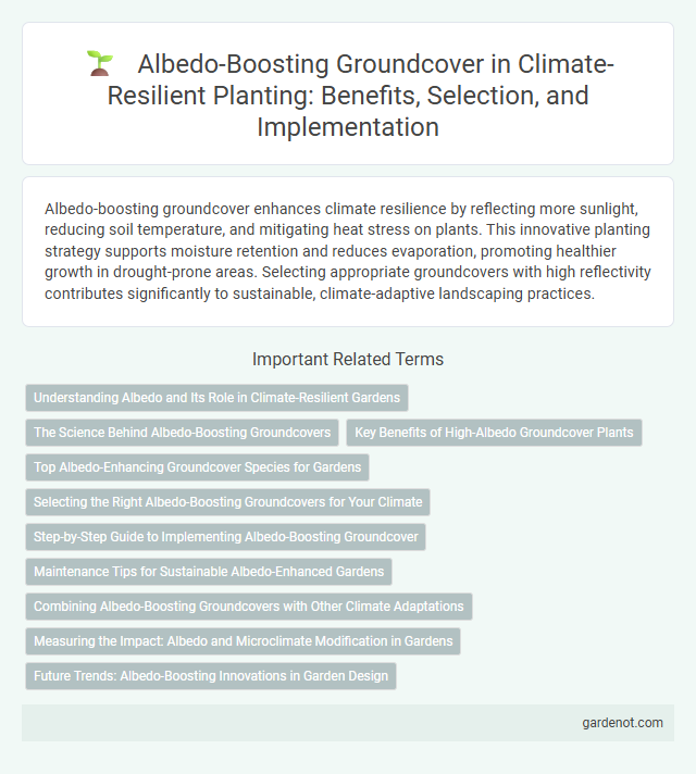 Albedo-Boosting Groundcover in Climate-Resilient Planting: Benefits, Selection, and Implementation