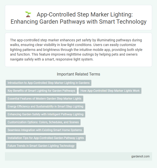 App-Controlled Step Marker Lighting: Enhancing Garden Pathways with Smart Technology