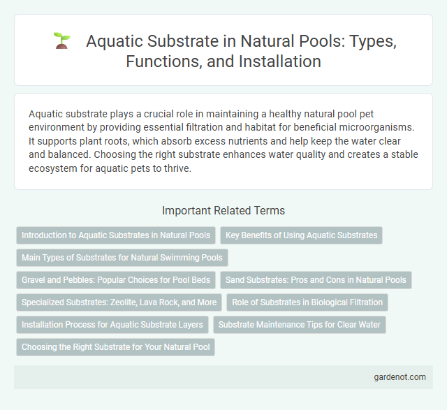 Aquatic Substrate in Natural Pools: Types, Functions, and Installation