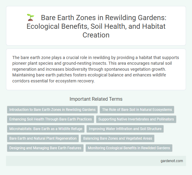 Bare Earth Zones in Rewilding Gardens: Ecological Benefits, Soil Health, and Habitat Creation