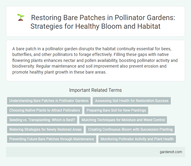 Restoring Bare Patches in Pollinator Gardens: Strategies for Healthy Bloom and Habitat