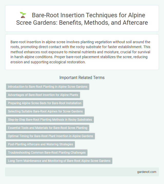 Bare-Root Insertion Techniques for Alpine Scree Gardens: Benefits, Methods, and Aftercare