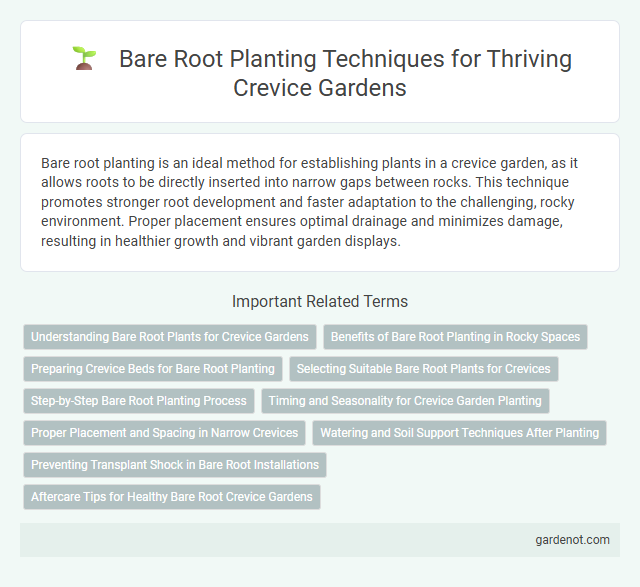 Bare Root Planting Techniques for Thriving Crevice Gardens
