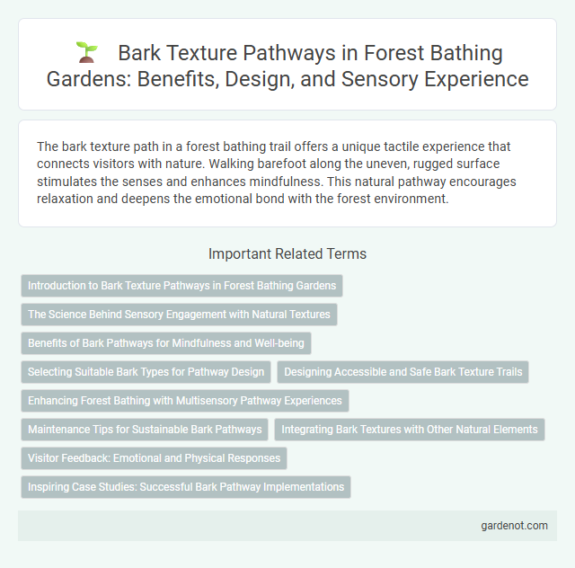 Bark Texture Pathways in Forest Bathing Gardens: Benefits, Design, and Sensory Experience