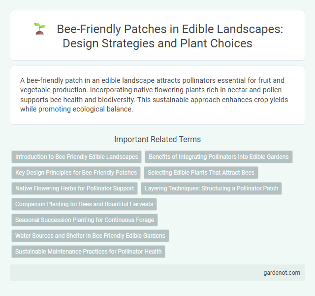 Bee-Friendly Patches in Edible Landscapes: Design Strategies and Plant Choices