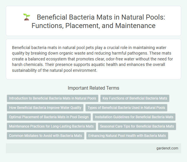 Beneficial Bacteria Mats in Natural Pools: Functions, Placement, and Maintenance