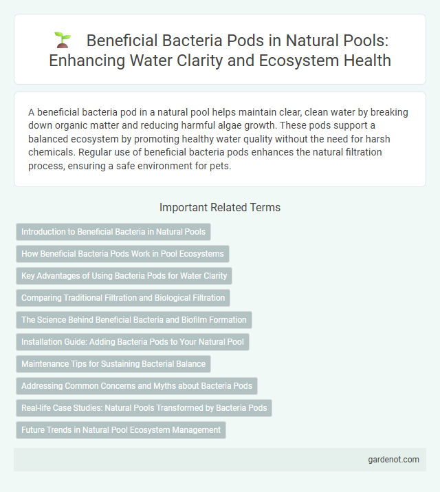 Beneficial Bacteria Pods in Natural Pools: Enhancing Water Clarity and Ecosystem Health