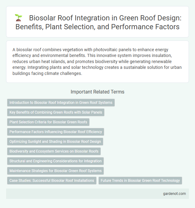 Biosolar Roof Integration in Green Roof Design: Benefits, Plant Selection, and Performance Factors