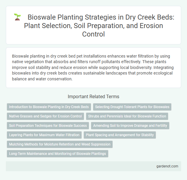 Bioswale Planting Strategies in Dry Creek Beds: Plant Selection, Soil Preparation, and Erosion Control