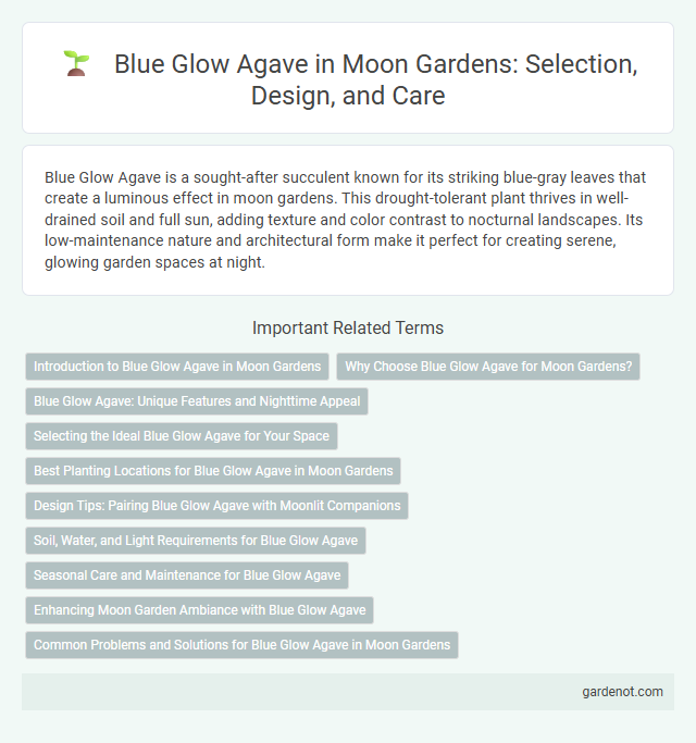 Blue Glow Agave in Moon Gardens: Selection, Design, and Care