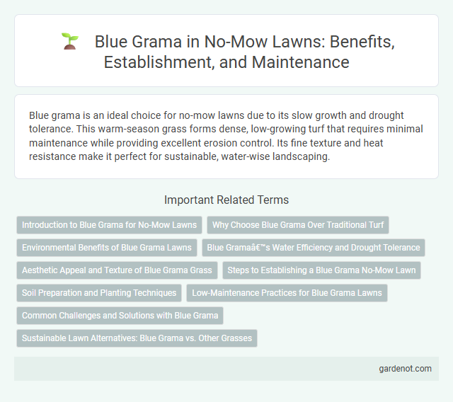 Blue Grama in No-Mow Lawns: Benefits, Establishment, and Maintenance
