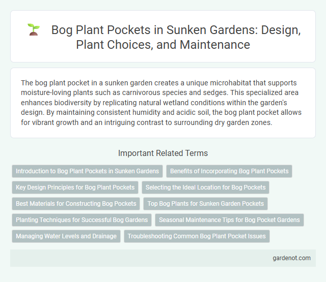 Bog Plant Pockets in Sunken Gardens: Design, Plant Choices, and Maintenance