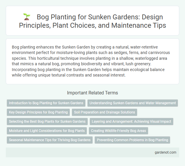 Bog Planting for Sunken Gardens: Design Principles, Plant Choices, and Maintenance Tips