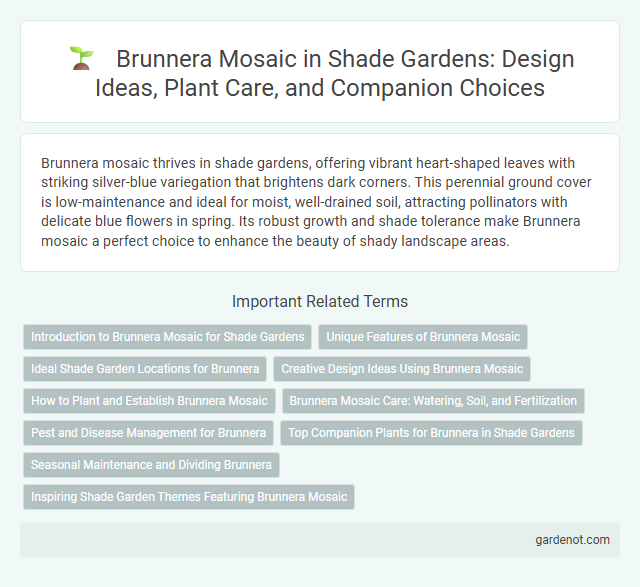 Brunnera Mosaic in Shade Gardens: Design Ideas, Plant Care, and Companion Choices