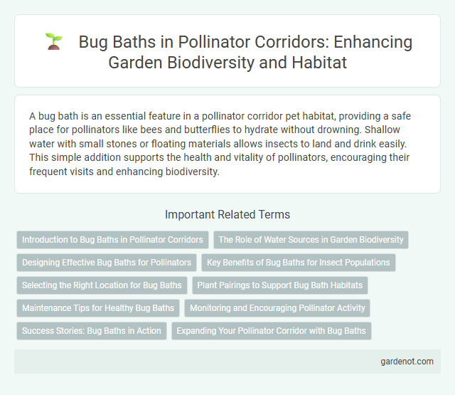 Bug Baths in Pollinator Corridors: Enhancing Garden Biodiversity and Habitat