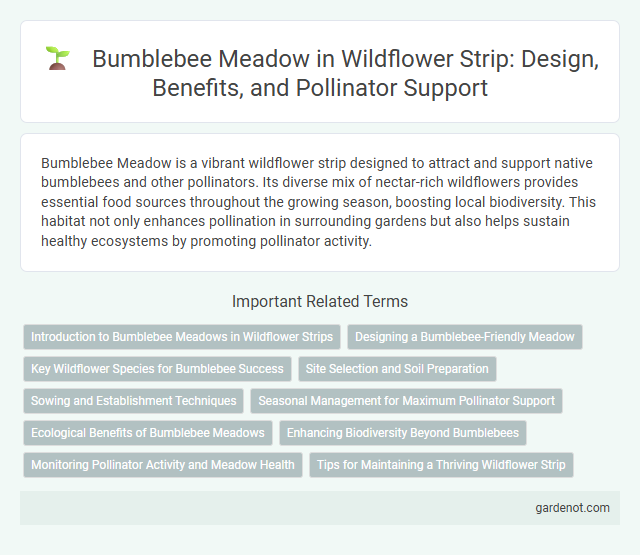 Bumblebee Meadow in Wildflower Strip: Design, Benefits, and Pollinator Support