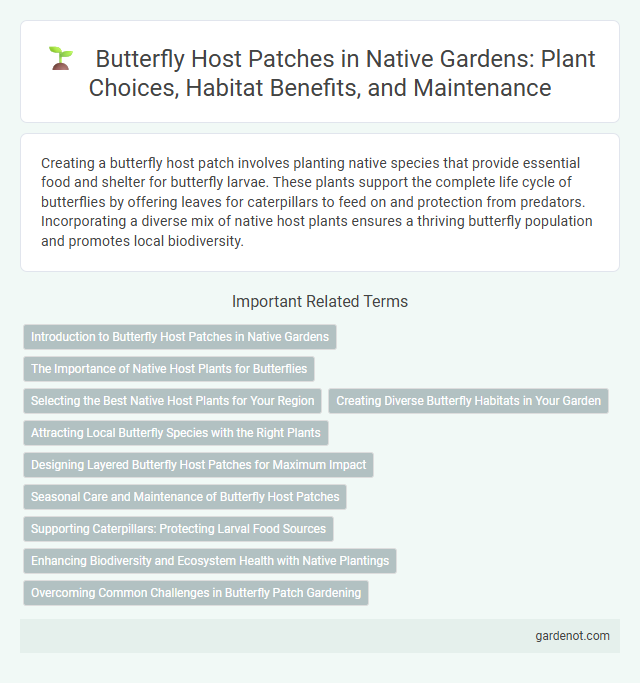 Butterfly Host Patches in Native Gardens: Plant Choices, Habitat Benefits, and Maintenance