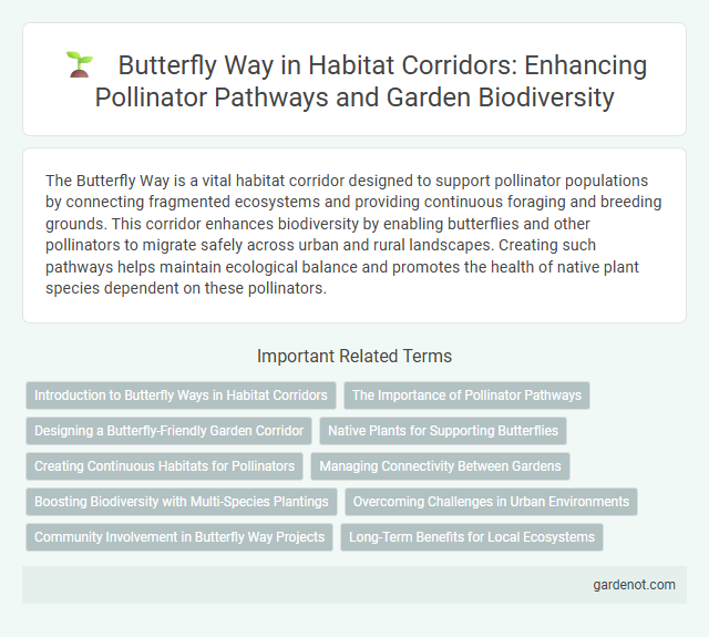 Butterfly Way in Habitat Corridors: Enhancing Pollinator Pathways and Garden Biodiversity
