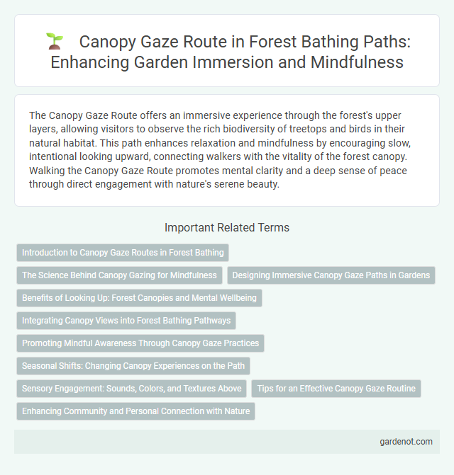 Canopy Gaze Route in Forest Bathing Paths: Enhancing Garden Immersion and Mindfulness
