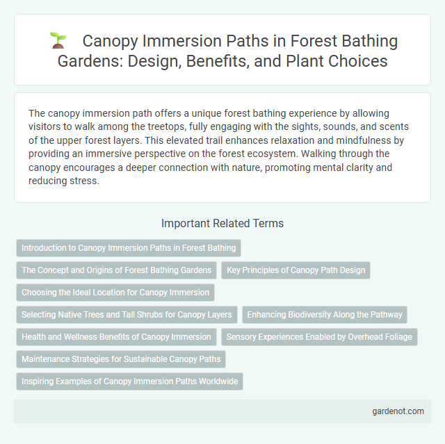 Canopy Immersion Paths in Forest Bathing Gardens: Design, Benefits, and Plant Choices